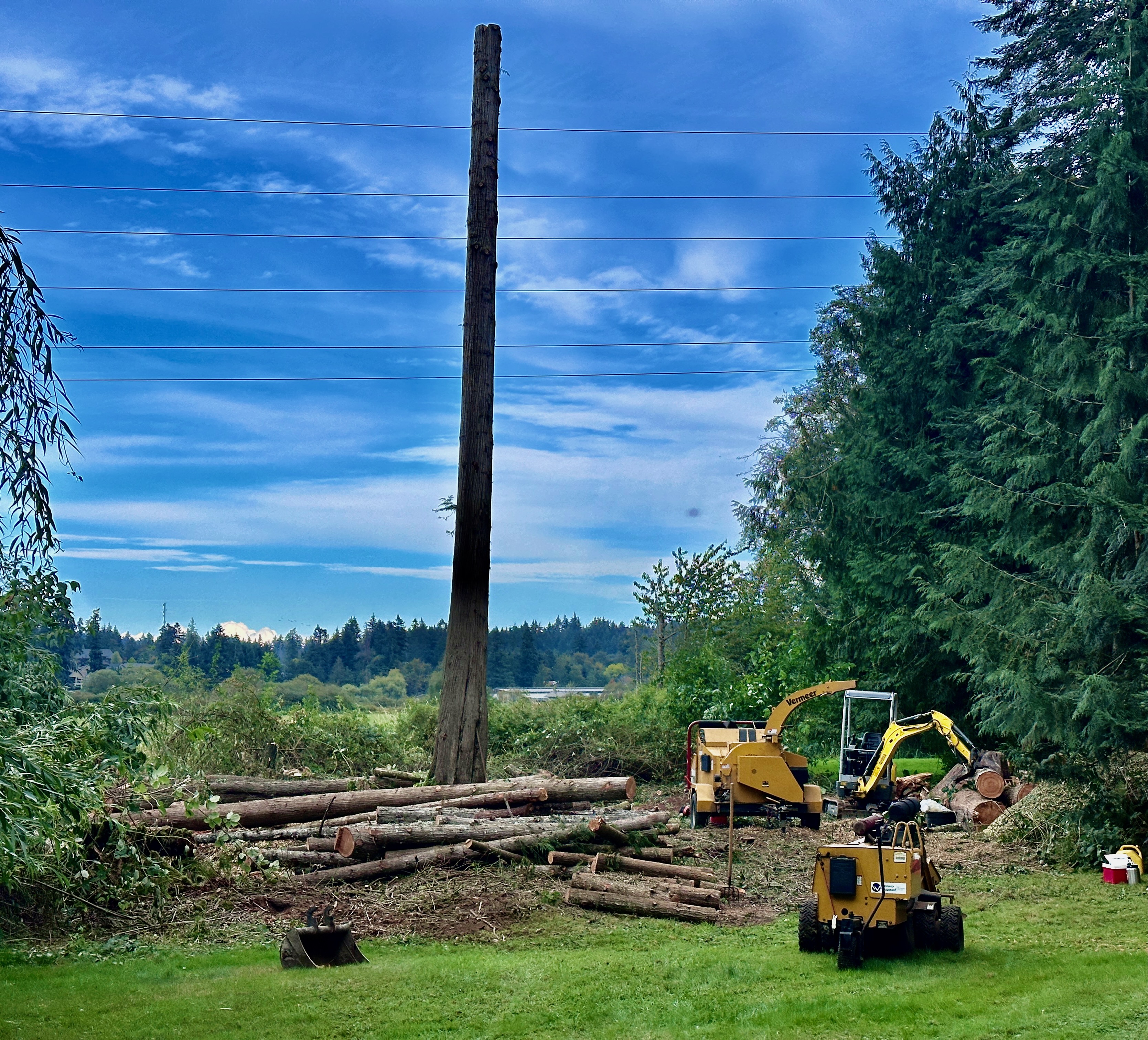Stump Grinding