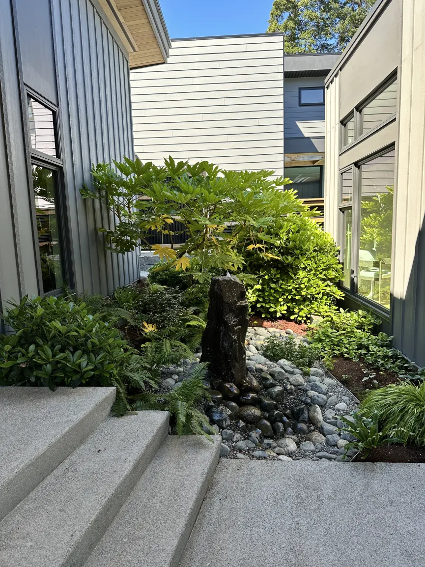 After Tree Service